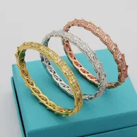 Cheap Tiffany Bracelets #1406863 Replica Wholesale [$34.00 USD] [ITEM#1406863] on Replica Tiffany Bracelets
