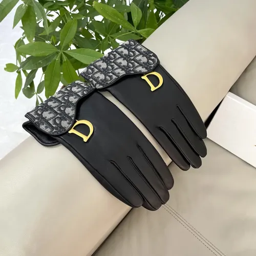 Cheap Christian Dior Gloves For Women #1407600 Replica Wholesale [$60.00 USD] [ITEM#1407600] on Replica Christian Dior Gloves