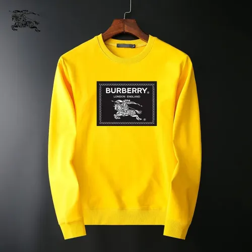 Burberry Hoodies Long Sleeved For Men #1410512