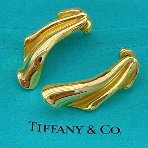 Cheap Tiffany Earrings For Women #1413842 Replica Wholesale [$27.00 USD] [ITEM#1413842] on Replica Tiffany Earrings