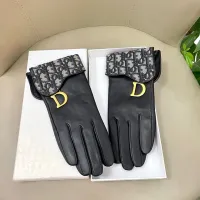Cheap Christian Dior Gloves For Women #1407600 Replica Wholesale [$60.00 USD] [ITEM#1407600] on Replica Christian Dior Gloves
