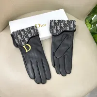 Cheap Christian Dior Gloves For Women #1407600 Replica Wholesale [$60.00 USD] [ITEM#1407600] on Replica Christian Dior Gloves