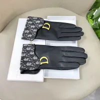 Cheap Christian Dior Gloves For Women #1407600 Replica Wholesale [$60.00 USD] [ITEM#1407600] on Replica Christian Dior Gloves