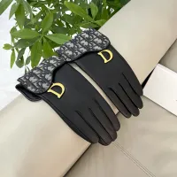 Cheap Christian Dior Gloves For Women #1407600 Replica Wholesale [$60.00 USD] [ITEM#1407600] on Replica Christian Dior Gloves
