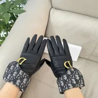 Cheap Christian Dior Gloves For Women #1407600 Replica Wholesale [$60.00 USD] [ITEM#1407600] on Replica Christian Dior Gloves