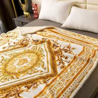 Cheap Versace Blanket #1408796 Replica Wholesale [$88.00 USD] [ITEM#1408796] on Replica Versace Blanket