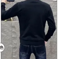 Cheap LOEWE Hoodies Long Sleeved For Men #1411003 Replica Wholesale [$48.00 USD] [ITEM#1411003] on Replica LOEWE Hoodies