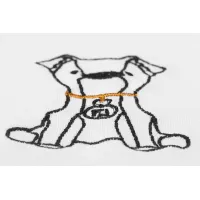 Cheap Fendi T-Shirts Short Sleeved For Unisex #1411662 Replica Wholesale [$45.00 USD] [ITEM#1411662] on Replica Fendi T-Shirts