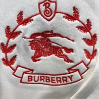 Cheap Burberry Hoodies Long Sleeved For Men #1412662 Replica Wholesale [$85.00 USD] [ITEM#1412662] on Replica Burberry Hoodies