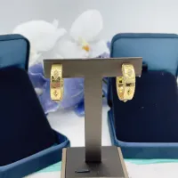 Cheap Tiffany Earrings For Women #1413403 Replica Wholesale [$27.00 USD] [ITEM#1413403] on Replica Tiffany Earrings