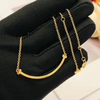 Cheap Tiffany Necklaces #1413517 Replica Wholesale [$27.00 USD] [ITEM#1413517] on Replica Tiffany Necklaces