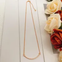 Cheap Tiffany Necklaces #1413559 Replica Wholesale [$25.00 USD] [ITEM#1413559] on Replica Tiffany Necklaces