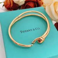 Cheap Tiffany Bracelets #1414779 Replica Wholesale [$29.00 USD] [ITEM#1414779] on Replica Tiffany Bracelets