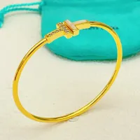 Cheap Tiffany Bracelets #1414790 Replica Wholesale [$27.00 USD] [ITEM#1414790] on Replica Tiffany Bracelets