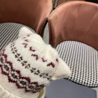 Cheap Christian Dior Caps #1415341 Replica Wholesale [$36.00 USD] [ITEM#1415341] on Replica Christian Dior Caps