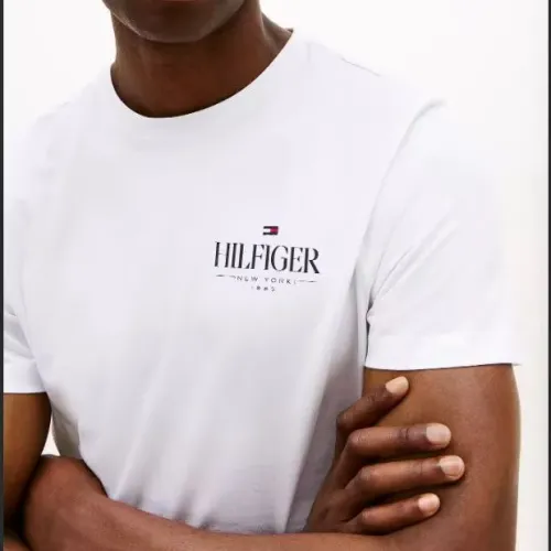 Cheap Tommy Hilfiger TH T-Shirts Short Sleeved For Men #1419016 Replica Wholesale [$29.00 USD] [ITEM#1419016] on Replica Tommy Hilfiger TH T-Shirts