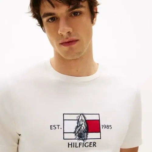 Cheap Tommy Hilfiger TH T-Shirts Short Sleeved For Men #1419024 Replica Wholesale [$29.00 USD] [ITEM#1419024] on Replica Tommy Hilfiger TH T-Shirts