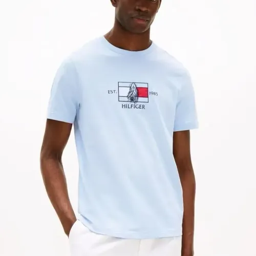 Cheap Tommy Hilfiger TH T-Shirts Short Sleeved For Men #1419025 Replica Wholesale [$29.00 USD] [ITEM#1419025] on Replica Tommy Hilfiger TH T-Shirts