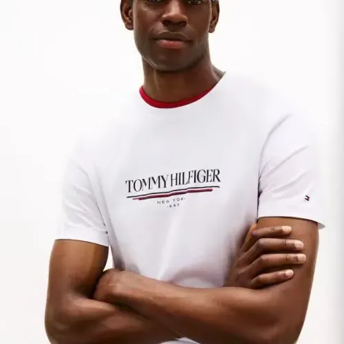 Cheap Tommy Hilfiger TH T-Shirts Short Sleeved For Men #1419033 Replica Wholesale [$29.00 USD] [ITEM#1419033] on Replica Tommy Hilfiger TH T-Shirts