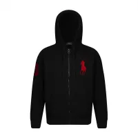 Cheap Ralph Lauren Polo Hoodies Long Sleeved For Unisex #1418423 Replica Wholesale [$60.00 USD] [ITEM#1418423] on Replica Ralph Lauren Polo Hoodies