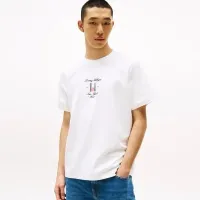 Cheap Tommy Hilfiger TH T-Shirts Short Sleeved For Men #1419020 Replica Wholesale [$29.00 USD] [ITEM#1419020] on Replica Tommy Hilfiger TH T-Shirts