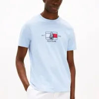 Cheap Tommy Hilfiger TH T-Shirts Short Sleeved For Men #1419025 Replica Wholesale [$29.00 USD] [ITEM#1419025] on Replica Tommy Hilfiger TH T-Shirts