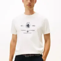 Cheap Tommy Hilfiger TH T-Shirts Short Sleeved For Men #1419030 Replica Wholesale [$29.00 USD] [ITEM#1419030] on Replica Tommy Hilfiger TH T-Shirts