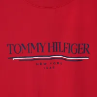 Cheap Tommy Hilfiger TH T-Shirts Short Sleeved For Men #1419034 Replica Wholesale [$29.00 USD] [ITEM#1419034] on Replica Tommy Hilfiger TH T-Shirts