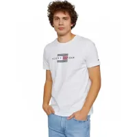 Cheap Tommy Hilfiger TH T-Shirts Short Sleeved For Men #1419082 Replica Wholesale [$29.00 USD] [ITEM#1419082] on Replica Tommy Hilfiger TH T-Shirts