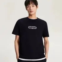 Cheap Tommy Hilfiger TH T-Shirts Short Sleeved For Men #1419089 Replica Wholesale [$29.00 USD] [ITEM#1419089] on Replica Tommy Hilfiger TH T-Shirts