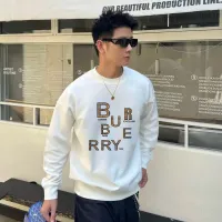 Cheap Burberry Hoodies Long Sleeved For Men #1420814 Replica Wholesale [$48.00 USD] [ITEM#1420814] on Replica Burberry Hoodies