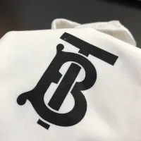 Cheap Burberry Hoodies Long Sleeved For Men #1421264 Replica Wholesale [$45.00 USD] [ITEM#1421264] on Replica Burberry Hoodies