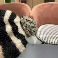 Cheap Moncler Caps #1422056 Replica Wholesale [$34.00 USD] [ITEM#1422056] on Replica Moncler Caps