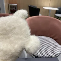 Cheap Louis Vuitton LV Caps #1422213 Replica Wholesale [$34.00 USD] [ITEM#1422213] on Replica Louis Vuitton LV Caps