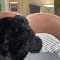 Cheap Louis Vuitton LV Caps #1422215 Replica Wholesale [$34.00 USD] [ITEM#1422215] on Replica Louis Vuitton LV Caps