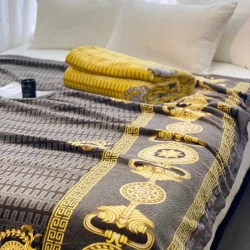 Cheap Versace Blanket #1424550 Replica Wholesale [$60.00 USD] [ITEM#1424550] on Replica Versace Blanket