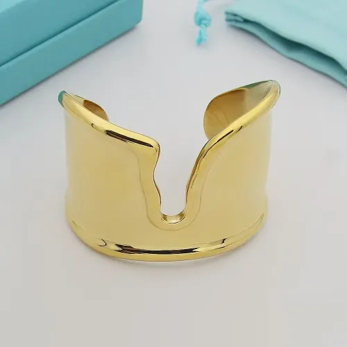 Tiffany Bracelets #1424935