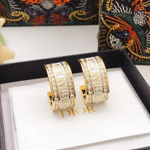 Christian Dior Earrings For Women #1426171