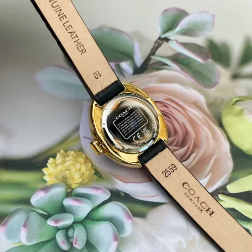 Cheap Coach Quality Watches For Women #1430106 Replica Wholesale [$125.00 USD] [ITEM#1430106] on Replica Coach Quality Watches