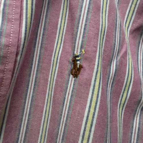 Cheap Ralph Lauren Polo Shirts Long Sleeved For Unisex #1430685 Replica Wholesale [$80.00 USD] [ITEM#1430685] on Replica Ralph Lauren Polo Shirts