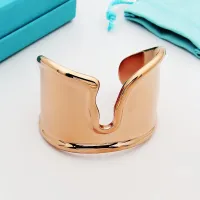 Cheap Tiffany Bracelets #1424934 Replica Wholesale [$56.00 USD] [ITEM#1424934] on Replica Tiffany Bracelets