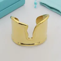 Cheap Tiffany Bracelets #1424935 Replica Wholesale [$56.00 USD] [ITEM#1424935] on Replica Tiffany Bracelets