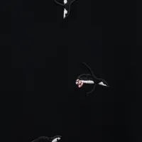 Cheap LOEWE T-Shirts Short Sleeved For Unisex #1430114 Replica Wholesale [$32.00 USD] [ITEM#1430114] on Replica LOEWE T-Shirts