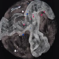 Cheap Louis Vuitton LV T-Shirts Short Sleeved For Unisex #1430120 Replica Wholesale [$36.00 USD] [ITEM#1430120] on Replica Louis Vuitton LV T-Shirts