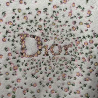 Cheap Christian Dior T-Shirts Short Sleeved For Women #1430691 Replica Wholesale [$92.00 USD] [ITEM#1430691] on Replica Christian Dior T-Shirts