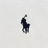 Cheap Ralph Lauren Polo T-Shirts Short Sleeved For Men #1430914 Replica Wholesale [$52.00 USD] [ITEM#1430914] on Replica Ralph Lauren Polo T-Shirts