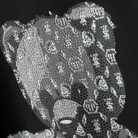 Cheap Philipp Plein PP T-Shirts Short Sleeved For Men #1431061 Replica Wholesale [$27.00 USD] [ITEM#1431061] on Replica Philipp Plein PP T-Shirts